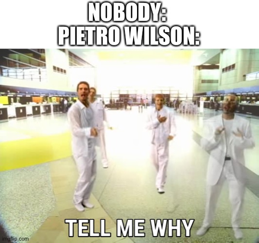 Tell me why | NOBODY: 
PIETRO WILSON: | image tagged in scp meme,scp | made w/ Imgflip meme maker