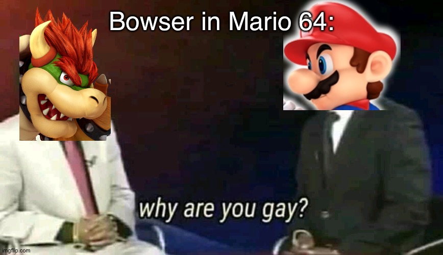 Why are you gay? | Bowser in Mario 64: | image tagged in why are you gay | made w/ Imgflip meme maker