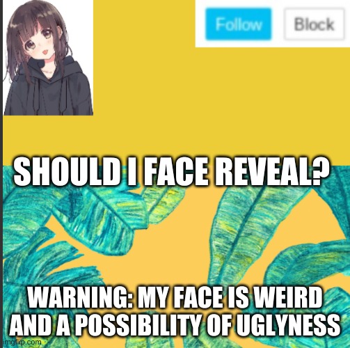 SHOULD I FACE REVEAL? WARNING: MY FACE IS WEIRD AND A POSSIBILITY OF UGLYNESS | made w/ Imgflip meme maker