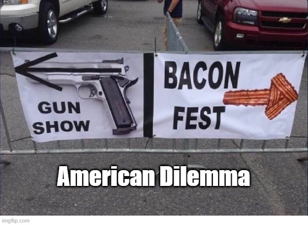 Bacon & Guns | American Dilemma | image tagged in bacon,guns | made w/ Imgflip meme maker
