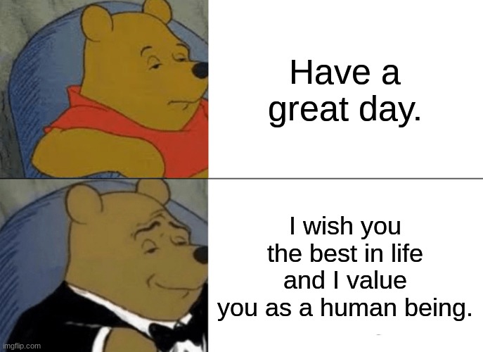 nice wholesome content | Have a great day. I wish you the best in life and I value you as a human being. | image tagged in memes,tuxedo winnie the pooh | made w/ Imgflip meme maker