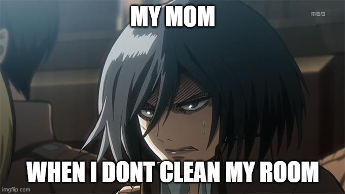 Angry Mikasa | MY MOM; WHEN I DONT CLEAN MY ROOM | image tagged in angry mikasa | made w/ Imgflip meme maker