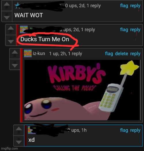 the post was about ducks btw | image tagged in ducks,wtf | made w/ Imgflip meme maker