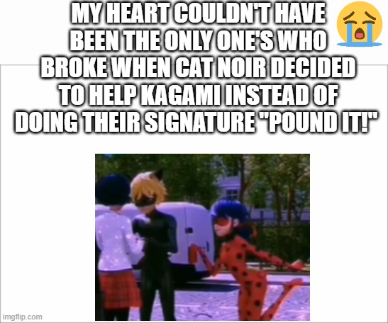 MY HEEAAART | MY HEART COULDN'T HAVE BEEN THE ONLY ONE'S WHO BROKE WHEN CAT NOIR DECIDED TO HELP KAGAMI INSTEAD OF DOING THEIR SIGNATURE "POUND IT!" | image tagged in mlb,miraculous ladybug,miraculous,ladybug,hero,paris | made w/ Imgflip meme maker