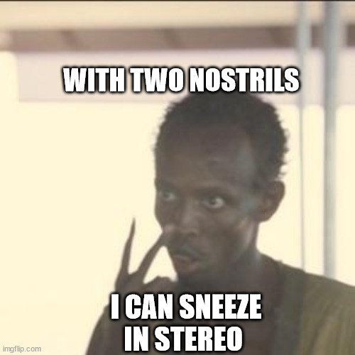 Look At Me | WITH TWO NOSTRILS; I CAN SNEEZE IN STEREO | image tagged in memes,look at me | made w/ Imgflip meme maker