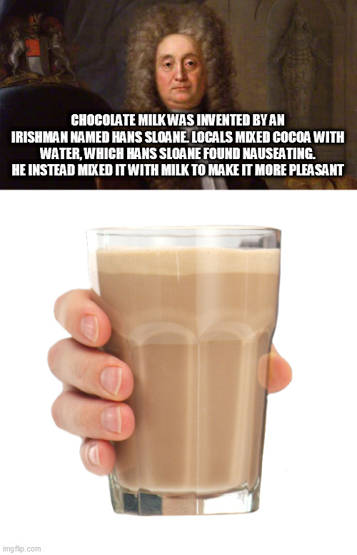 CHOCOLATE MILK WAS INVENTED BY AN IRISHMAN NAMED HANS SLOANE. LOCALS MIXED COCOA WITH WATER, WHICH HANS SLOANE FOUND NAUSEATING. HE INSTEAD MIXED IT WITH MILK TO MAKE IT MORE PLEASANT | image tagged in choccy,choccy milk | made w/ Imgflip meme maker