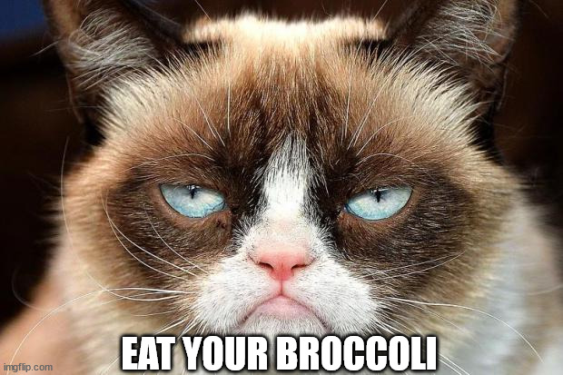 Grumpy Cat Not Amused Meme | EAT YOUR BROCCOLI | image tagged in memes,grumpy cat not amused,grumpy cat | made w/ Imgflip meme maker