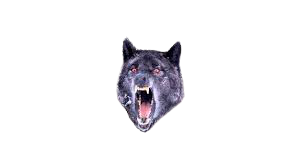 High Quality insanity wolf Blank Meme Template