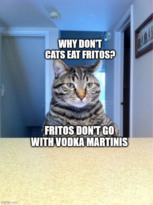 Take A Seat Cat | WHY DON'T CATS EAT FRITOS? FRITOS DON'T GO WITH VODKA MARTINIS | image tagged in memes,take a seat cat | made w/ Imgflip meme maker
