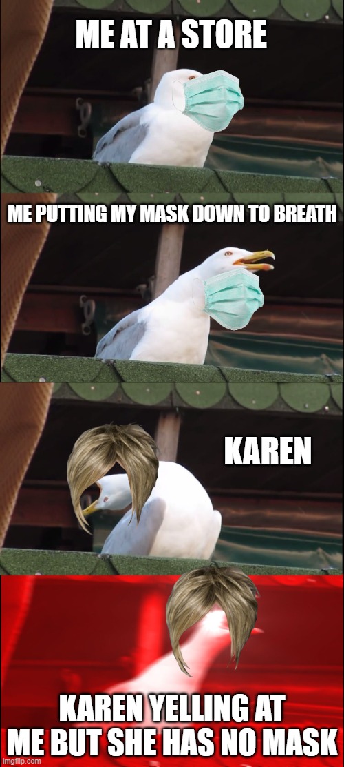Inhaling Seagull | ME AT A STORE; ME PUTTING MY MASK DOWN TO BREATH; KAREN; KAREN YELLING AT ME BUT SHE HAS NO MASK | image tagged in memes,inhaling seagull | made w/ Imgflip meme maker
