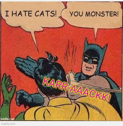 KARR-AAACKK! | made w/ Imgflip meme maker