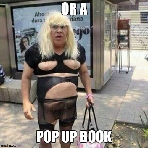 Ugly guy | OR A POP UP BOOK | image tagged in tranny | made w/ Imgflip meme maker