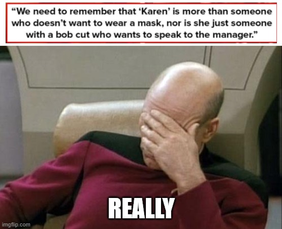 Captain Picard Facepalm Meme | REALLY | image tagged in memes,captain picard facepalm | made w/ Imgflip meme maker