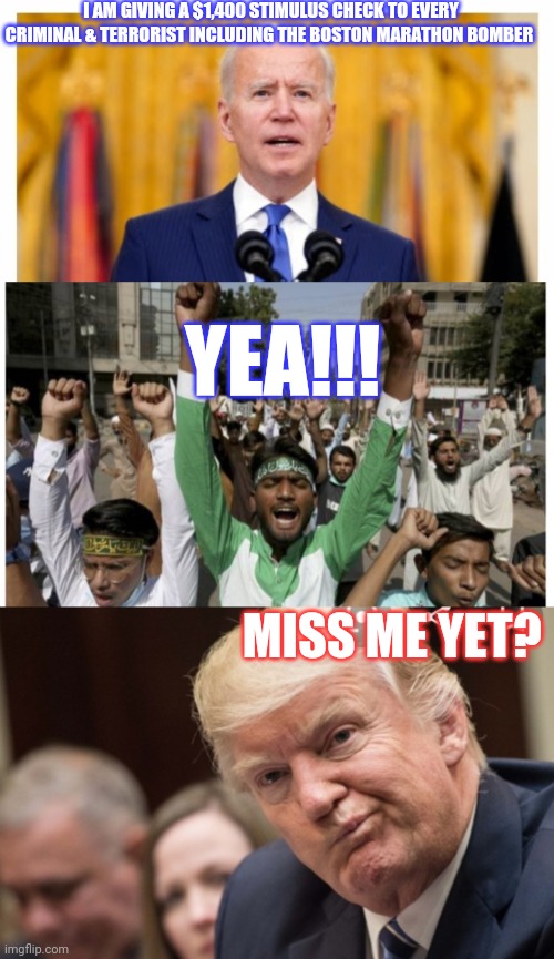 What could go wrong?  Dumbass | I AM GIVING A $1,400 STIMULUS CHECK TO EVERY CRIMINAL & TERRORIST INCLUDING THE BOSTON MARATHON BOMBER; YEA!!! MISS ME YET? | image tagged in liberal logic,stupid liberals | made w/ Imgflip meme maker