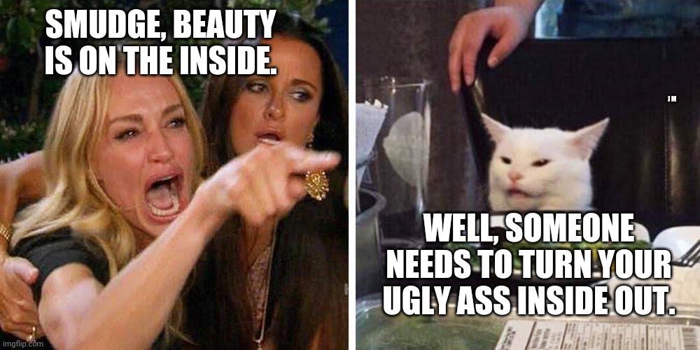 Smudge the cat | SMUDGE, BEAUTY IS ON THE INSIDE. J M; WELL, SOMEONE NEEDS TO TURN YOUR UGLY ASS INSIDE OUT. | image tagged in smudge the cat | made w/ Imgflip meme maker