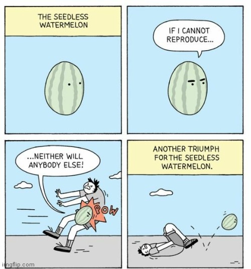 image tagged in cartoon,lol | made w/ Imgflip meme maker