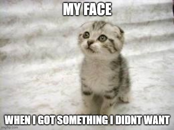 My sad face | MY FACE; WHEN I GOT SOMETHING I DIDNT WANT | image tagged in memes,sad cat | made w/ Imgflip meme maker