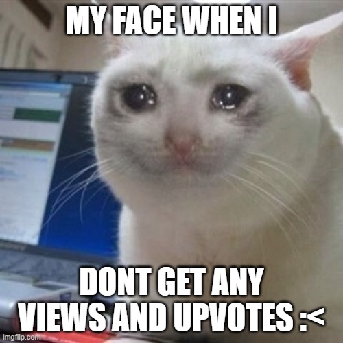 The crying cat | MY FACE WHEN I; DONT GET ANY VIEWS AND UPVOTES :< | image tagged in crying cat | made w/ Imgflip meme maker