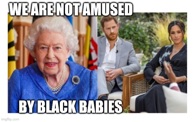 Queen not amused | WE ARE NOT AMUSED; BY BLACK BABIES | image tagged in british,royals | made w/ Imgflip meme maker