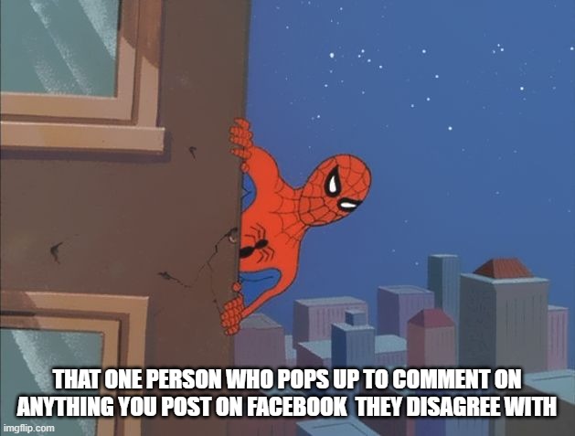 Spiderman peeking | THAT ONE PERSON WHO POPS UP TO COMMENT ON ANYTHING YOU POST ON FACEBOOK  THEY DISAGREE WITH | image tagged in spiderman peeking | made w/ Imgflip meme maker