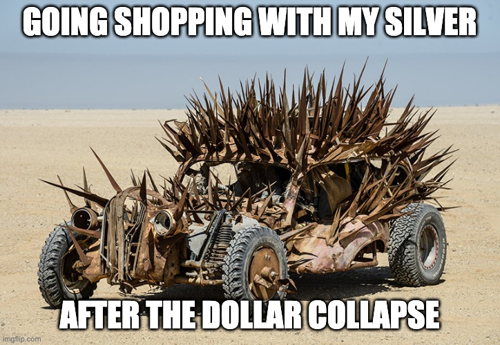 Going shopping with my silver |  GOING SHOPPING WITH MY SILVER; AFTER THE DOLLAR COLLAPSE | image tagged in silver | made w/ Imgflip meme maker