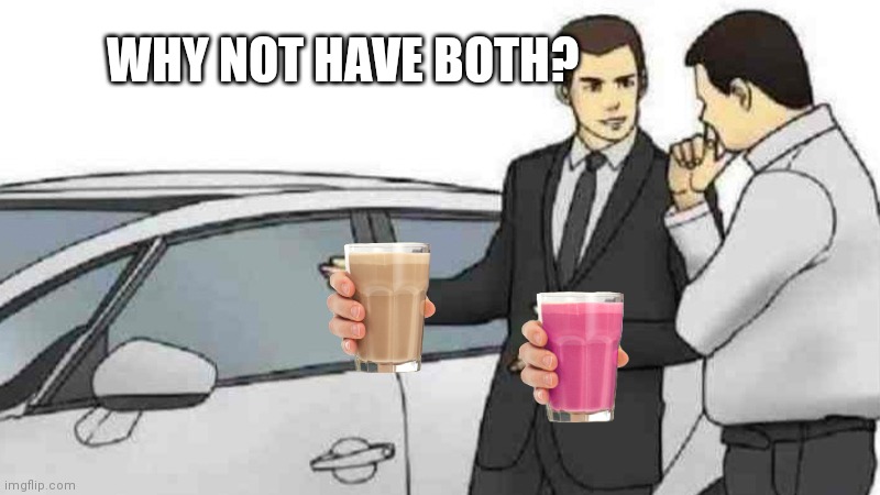 Car Salesman Slaps Roof Of Car | WHY NOT HAVE BOTH? | image tagged in memes,car salesman slaps roof of car | made w/ Imgflip meme maker