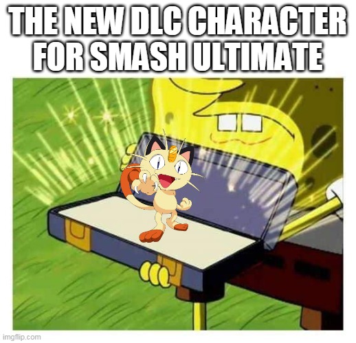 spam | THE NEW DLC CHARACTER FOR SMASH ULTIMATE | image tagged in spongebob box,pokemon,super smash bros,nintendo switch | made w/ Imgflip meme maker