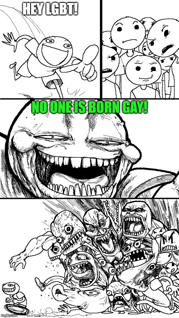 No One Is Born Gay! | HEY LGBT! NO ONE IS BORN GAY! | image tagged in memes,hey internet,born,gay | made w/ Imgflip meme maker