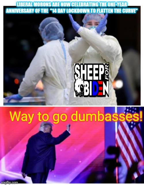 NEVER AGAIN | LIBERAL MORONS ARE NOW CELEBRATING THE ONE-YEAR ANNIVERSARY OF THE  "14 DAY LOCKDOWN TO FLATTEN THE CURVE"; Way to go dumbasses! | image tagged in stupid liberals | made w/ Imgflip meme maker