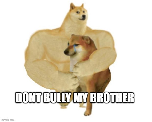  DONT BULLY MY BROTHER | image tagged in big brother doge hugging little brother cheems | made w/ Imgflip meme maker