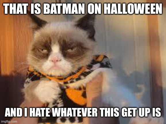 Grumpy Cat Halloween Meme | THAT IS BATMAN ON HALLOWEEN AND I HATE WHATEVER THIS GET UP IS | image tagged in memes,grumpy cat halloween,grumpy cat | made w/ Imgflip meme maker