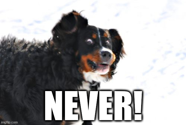 Crazy Dawg Meme | NEVER! | image tagged in memes,crazy dawg | made w/ Imgflip meme maker