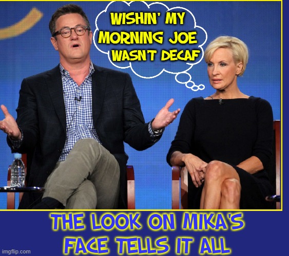 The amazing part is that MSDNC pays these hacks millions | WISHIN' MY; MORNING JOE; WASN'T DECAF; THE LOOK ON MIKA'S
FACE TELLS IT ALL | image tagged in vince vance,joe scarborough,mika brzezinski,morning joe,memes,decaf | made w/ Imgflip meme maker