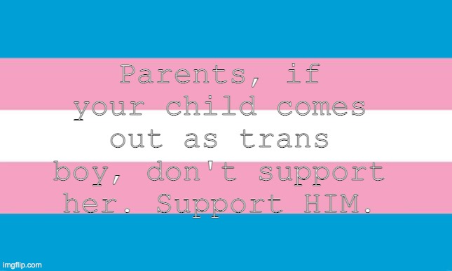 TRANS. MEN. ARE. MEN!!!!! | Parents, if your child comes out as trans boy, don't support her. Support HIM. | image tagged in transgender flag,transgender,lgbt,lgbtq | made w/ Imgflip meme maker