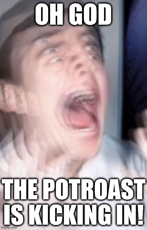 Oh gawd - NOT AGAIN! | OH GOD; THE POTROAST IS KICKING IN! | image tagged in freaking out,potroast,wtf,flee,why,drunk | made w/ Imgflip meme maker
