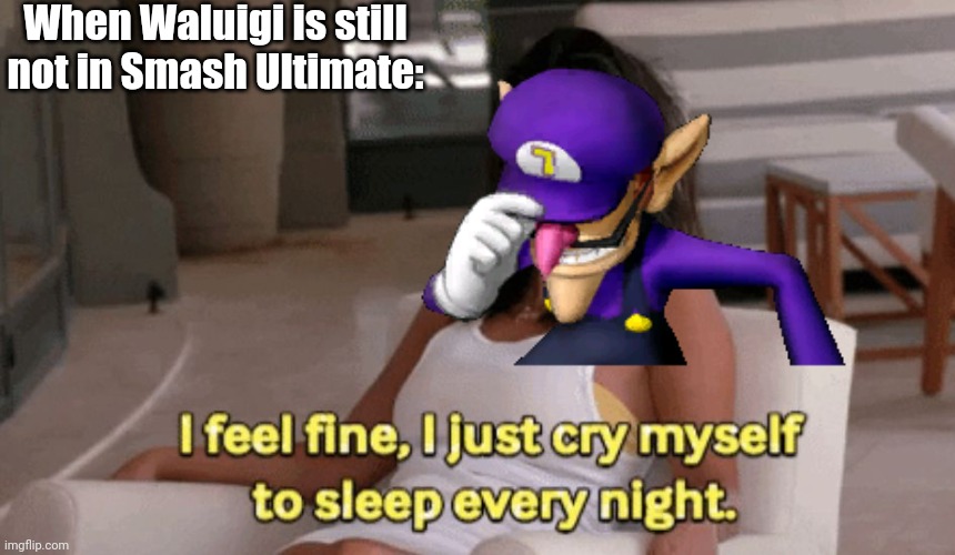 Don't Give Up, Waluigi | When Waluigi is still not in Smash Ultimate: | image tagged in cry myself to sleep | made w/ Imgflip meme maker