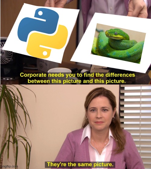 Python and a python | image tagged in memes,they're the same picture | made w/ Imgflip meme maker