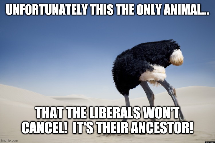 Don't cancel limu emu Sandy Joe!  Blah???????? | UNFORTUNATELY THIS THE ONLY ANIMAL... THAT THE LIBERALS WON'T CANCEL!  IT'S THEIR ANCESTOR! | image tagged in ostrich head in sand,sleepy,joe biden | made w/ Imgflip meme maker