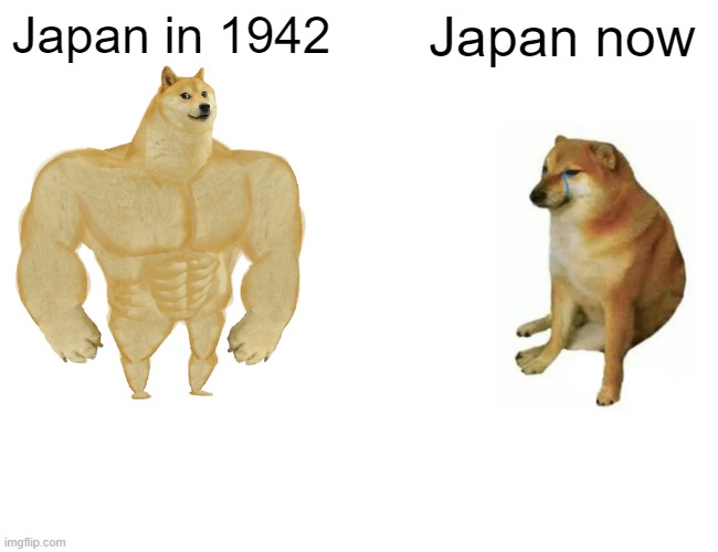 all hail hirohito | Japan in 1942; Japan now | image tagged in memes,buff doge vs cheems | made w/ Imgflip meme maker