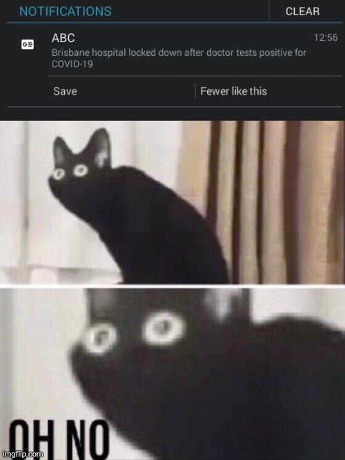 image tagged in oh no cat | made w/ Imgflip meme maker