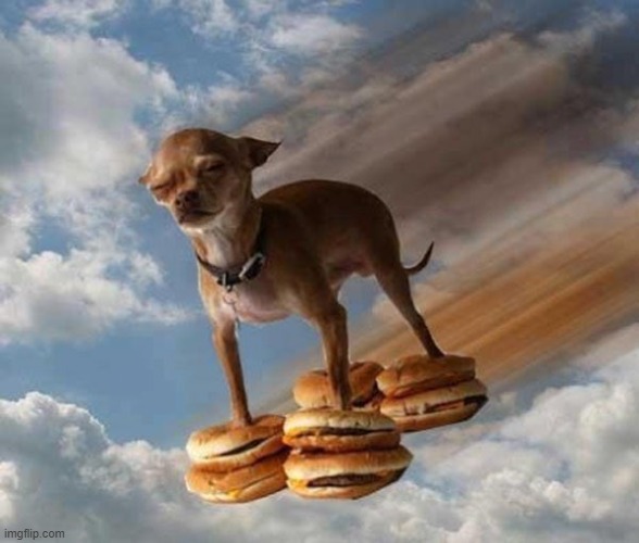 Cheemsburger | image tagged in cheemsburger | made w/ Imgflip meme maker
