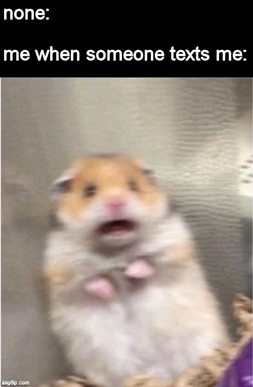 some  random stuff trigger my anxiety | none:
 
me when someone texts me: | image tagged in scared hamster | made w/ Imgflip meme maker