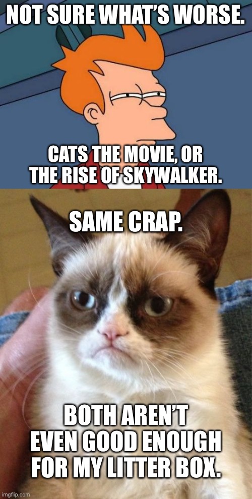 Crappy movies | NOT SURE WHAT’S WORSE. CATS THE MOVIE, OR THE RISE OF SKYWALKER. SAME CRAP. BOTH AREN’T EVEN GOOD ENOUGH FOR MY LITTER BOX. | image tagged in memes,futurama fry,grumpy cat,star wars,cats,crap | made w/ Imgflip meme maker
