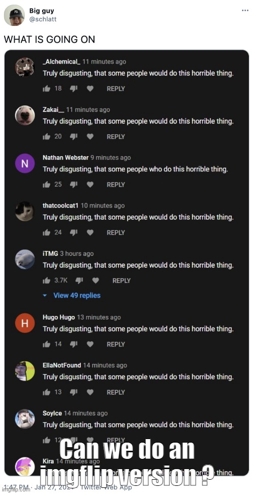 Im sorry, but i had to- | Can we do an imgflip version ? | made w/ Imgflip meme maker