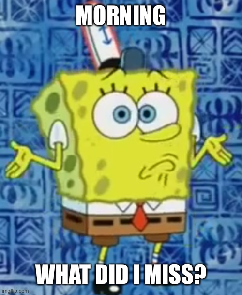SpongeBob shrug | MORNING; WHAT DID I MISS? | image tagged in spongebob shrug | made w/ Imgflip meme maker