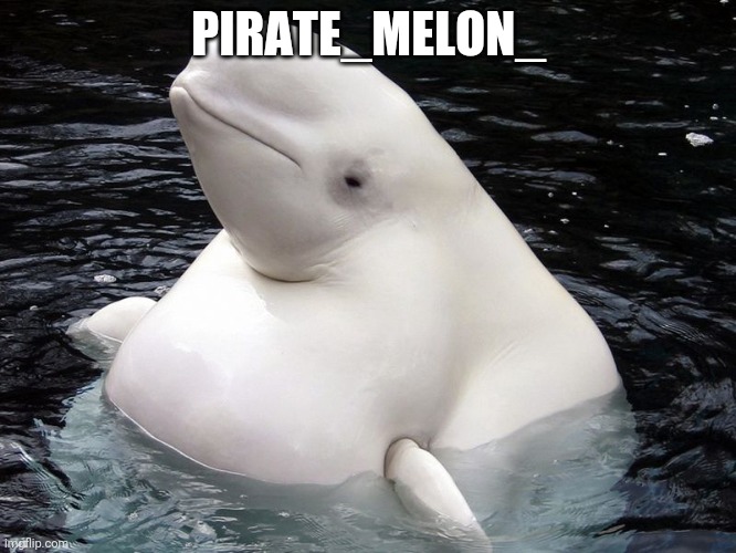 Blue whale is my inspiration | PIRATE_MELON_ | image tagged in fat whale | made w/ Imgflip meme maker