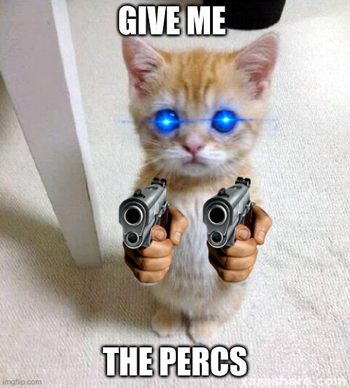 cat want da perc | GIVE ME; THE PERCS | image tagged in memes,cute cat,percs,drugs | made w/ Imgflip meme maker