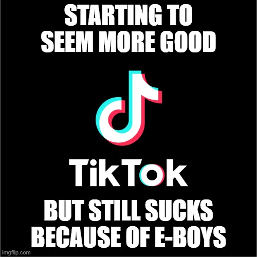 tiktok logo | STARTING TO SEEM MORE GOOD BUT STILL SUCKS BECAUSE OF E-BOYS | image tagged in tiktok logo | made w/ Imgflip meme maker
