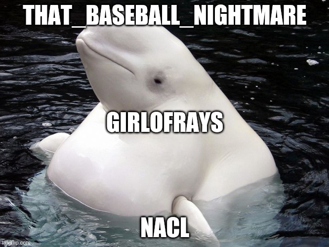 Deleted people | THAT_BASEBALL_NIGHTMARE; GIRLOFRAYS; NACL | image tagged in fat whale | made w/ Imgflip meme maker