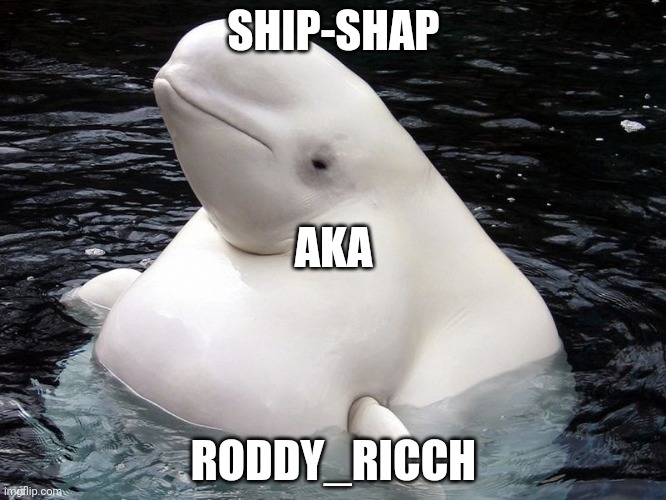 Deleted people | SHIP-SHAP; AKA; RODDY_RICCH | image tagged in fat whale | made w/ Imgflip meme maker